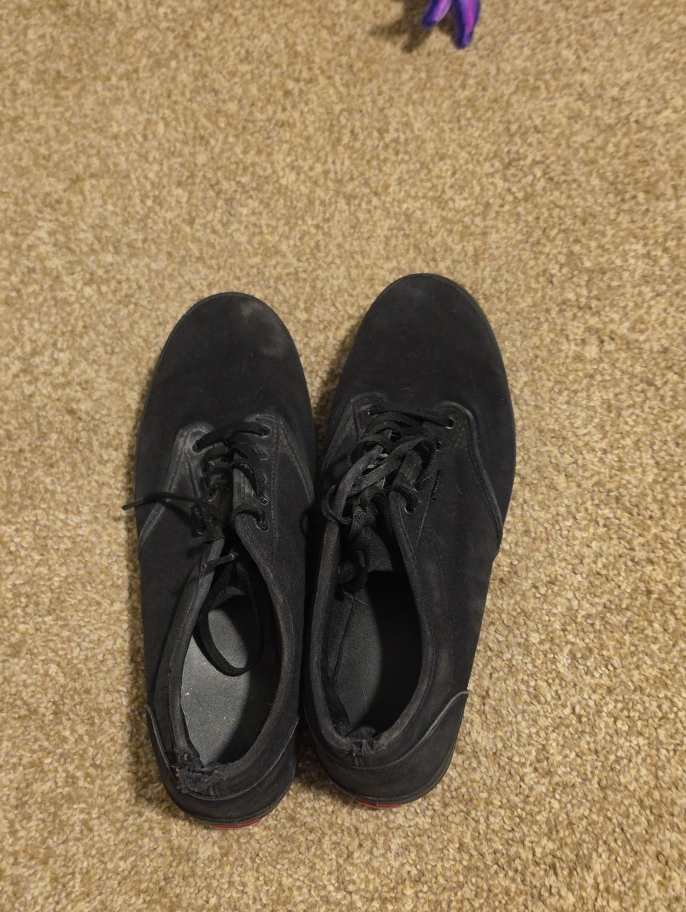 Vans Women's Black Low-Top Lace-Up Sneakers